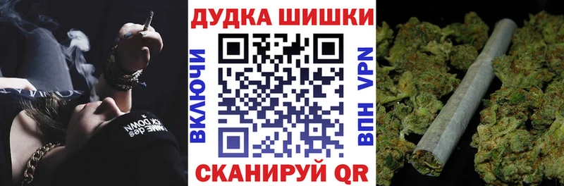 Купить закладки  Гвардейск  Канабис SATIVA & INDICA 